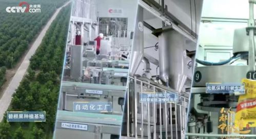 洽洽20年 一把坚果背后的匠心与坚守，与网络科技领域技术开发的跨界启示